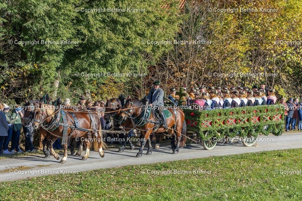 LBT25-579 | foto-bettina-krinner - Realisiert mit Pictrs.com