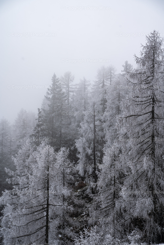 Hochstadel-284 | piet_flosse