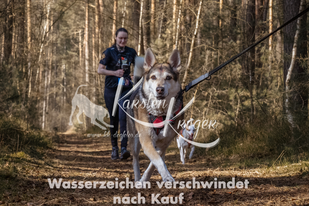 1206_ZZ92897-Bearbeitet | kk-dogfotos