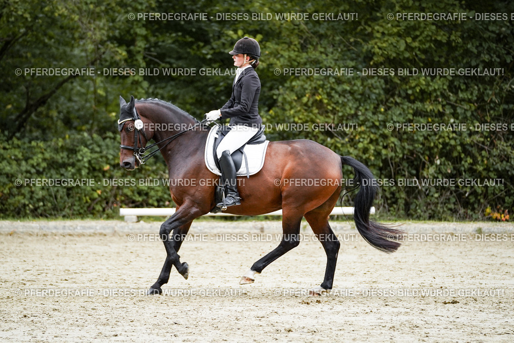 DSC00584 | Pferdegrafie