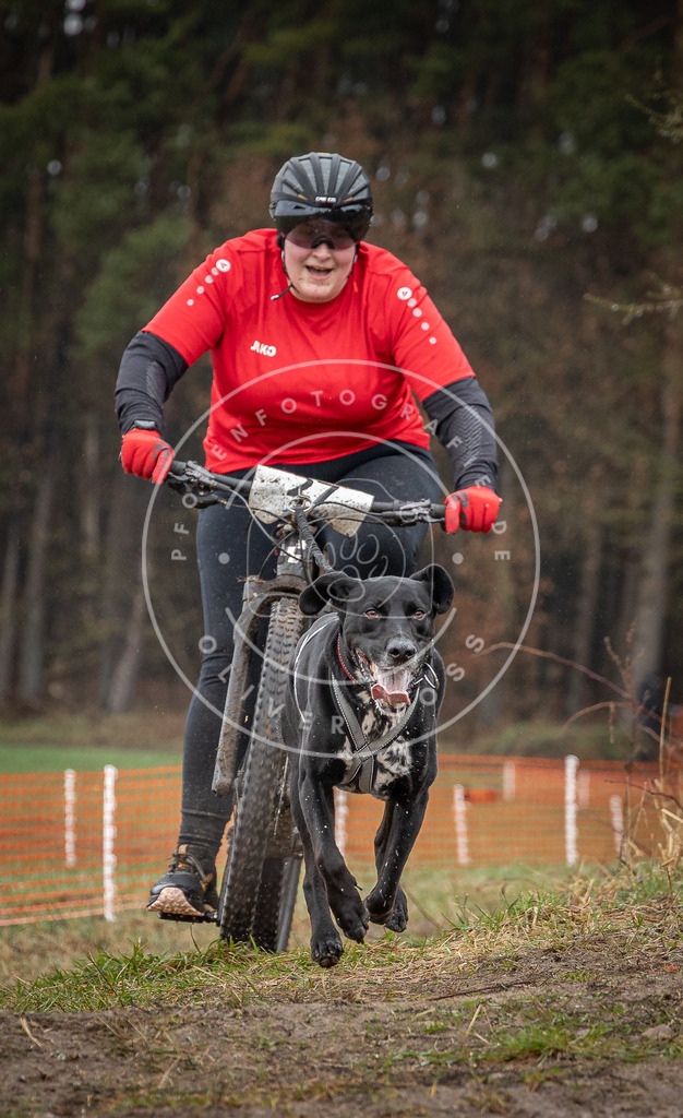0L8A8871 | Hundefotografie, Tierfotograf, Pfotenfotografie, Fotoshooting Hund, Hunde Portrait, Hundesport, Hundeportraits, Heideshooting, Hunde, Sportfotograf, Hundefotograf, Turnierhundsport, THS,  - Realisiert mit Pictrs.com
