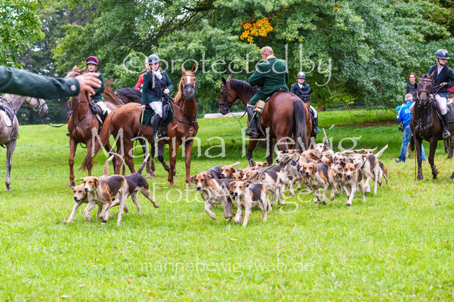 Jagd Perdoel 26 Sony-04197_MarinaHewig | Fotografie, FotoArt, PferdesportArt, Pferdesportfotografie, Landschaftsfotografie, Reisefotografie, Reise, Pferde - Realisiert mit Pictrs.com