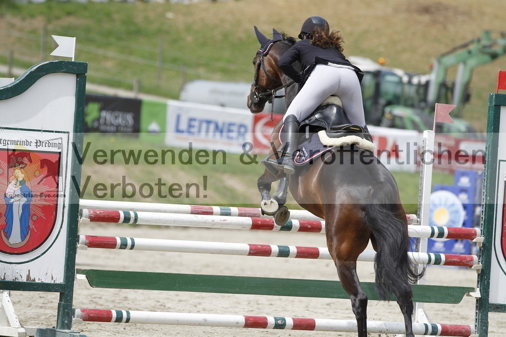_MG_3951 | equestrian-live-com