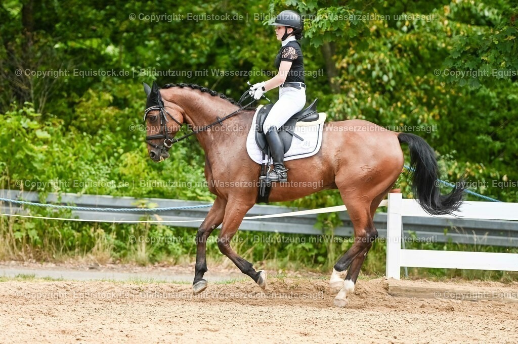 20230715_05_Dressurprüfung Kl.A++_0330 | equistock