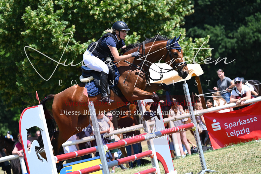 DSC_0628 | Pferde- und Turnierfotografie in Westsachsen. Pferdeportraits, Auftragszeichnungen und intuitive Kunst.