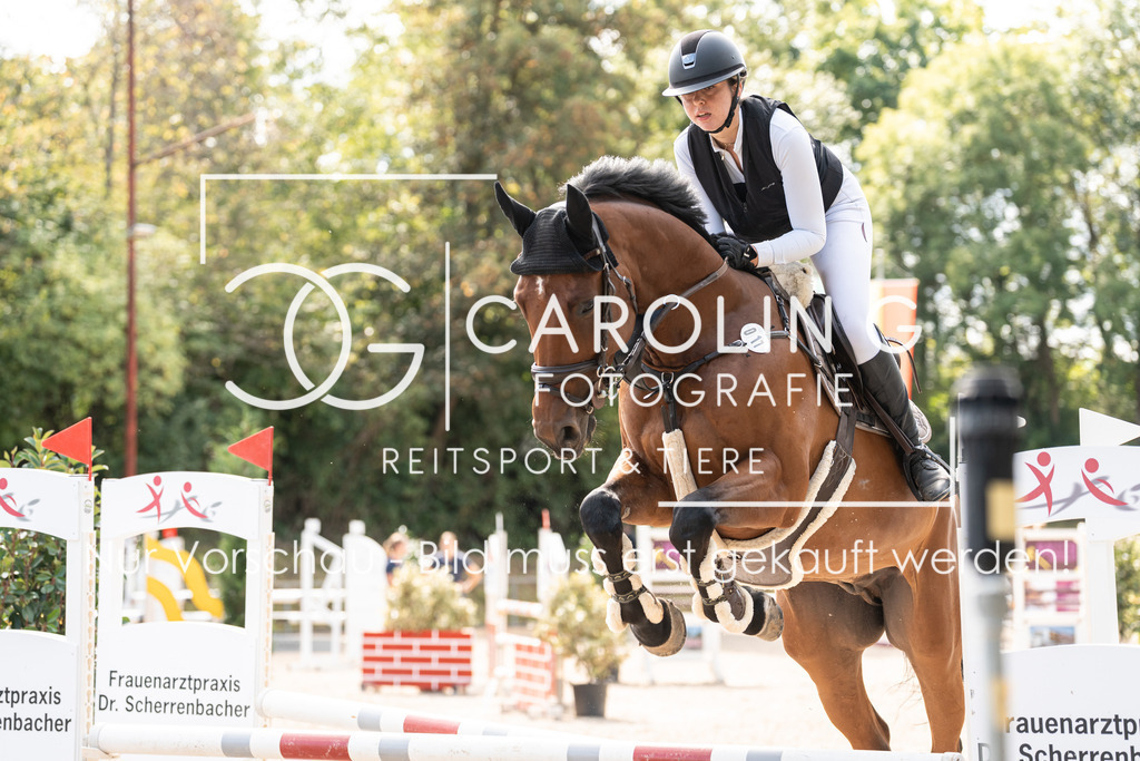 DSC02154 | Carolin Gieschke