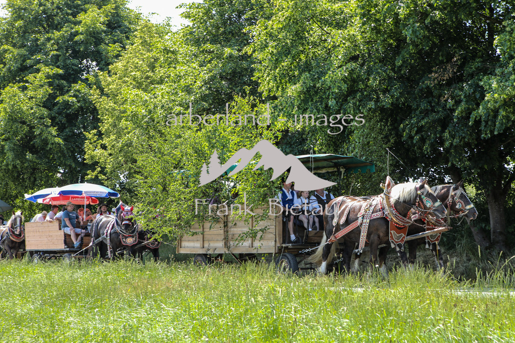 OE7A8451 | Medien- Sport- Entertainmentfotos