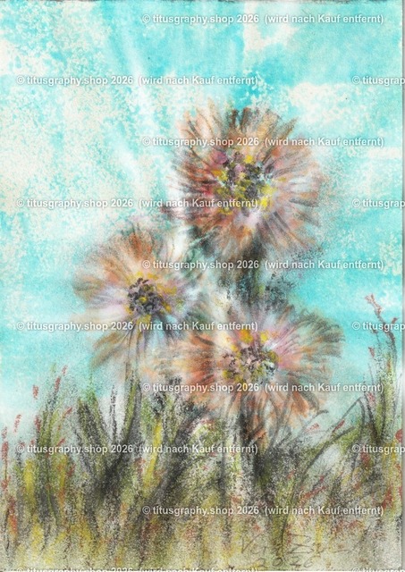 Asterngruß Variation 10 | Zeichnung von Vera Zschecked exclusiv auf titusgraphy.eu - Realisiert mit Pictrs.com