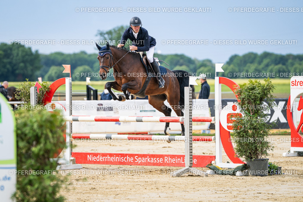 DSC03737 | Pferdegrafie