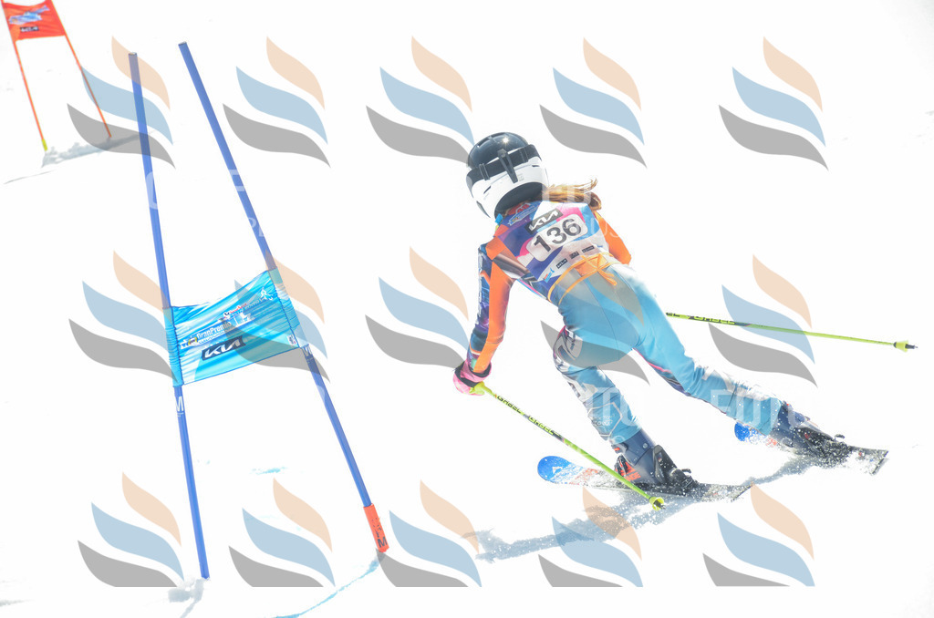 _ELE6182 | holidayphoto