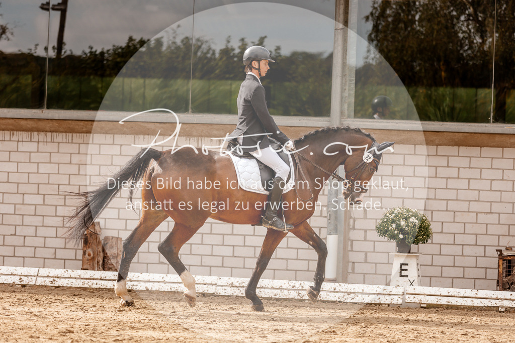 3I6A7131 | Stimmungsvolle Portraits und Reitsportfotografie im Ruhrgebiet und im Münsterland.

Pferdefotografie, Hundefotografie, Tierfotografie, Reportagen, Portraits von Tier und Mensch, Turnierfotografie in Bochum, Recklinghausen, Marl, Haltern am See, Dülmen.. - Realisiert mit Pictrs.com