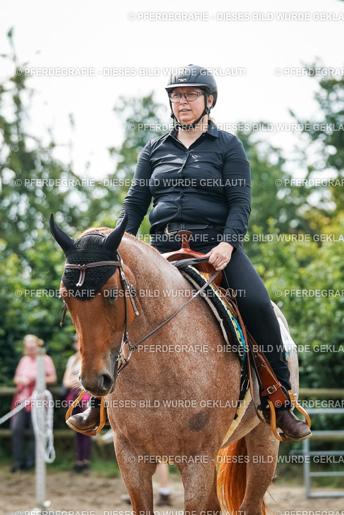 DSC04296 | Pferdegrafie