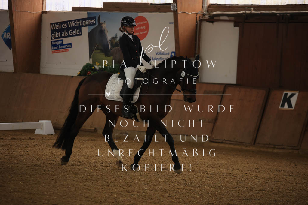 IMGT9751 | pl-fotografie