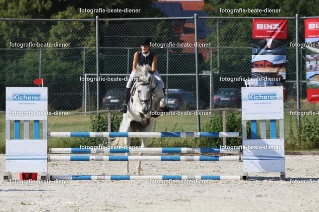 OHT 2022 Röhlingen (76) | Fotografie, Tiere, Hunde, Katzen, Pferde, Sportfotografie, Fotosession, Tierfotografie, Turnierfotografie, Fotografin, Fotograf - Realisiert mit Pictrs.com