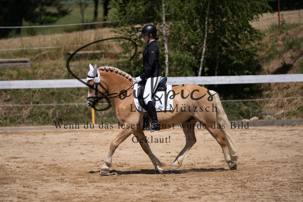 A7V08136 | Pferdefotograf