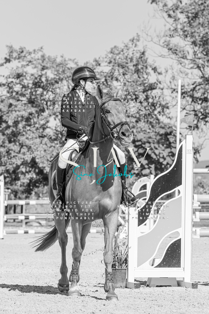 IMG_0979 | s-jay-photography - Realisiert mit Pictrs.com