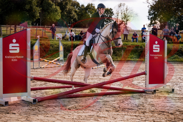 2026_10_03_Siefer-Hof_144218_Z81_14933570 | Professionelle Reitsport-, Turnier- und Eventfotografie von Robert Broda. Galerien mit ausgewählten und bearbeiteten Bildern direkt online ansehen und bestellen.
