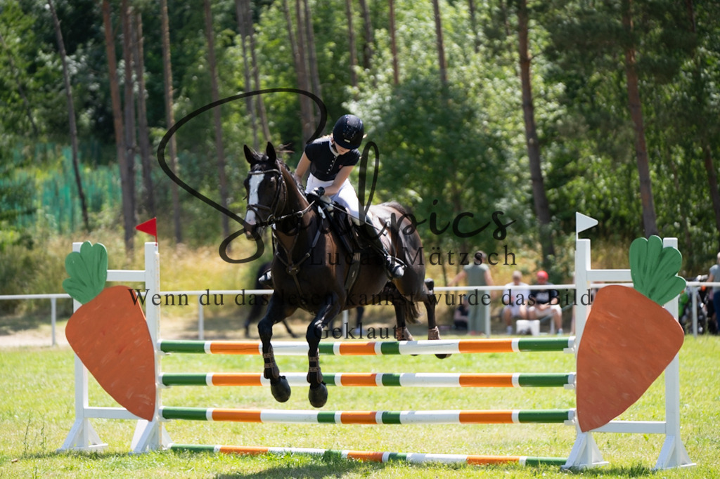 A7V06018 | Pferdefotograf