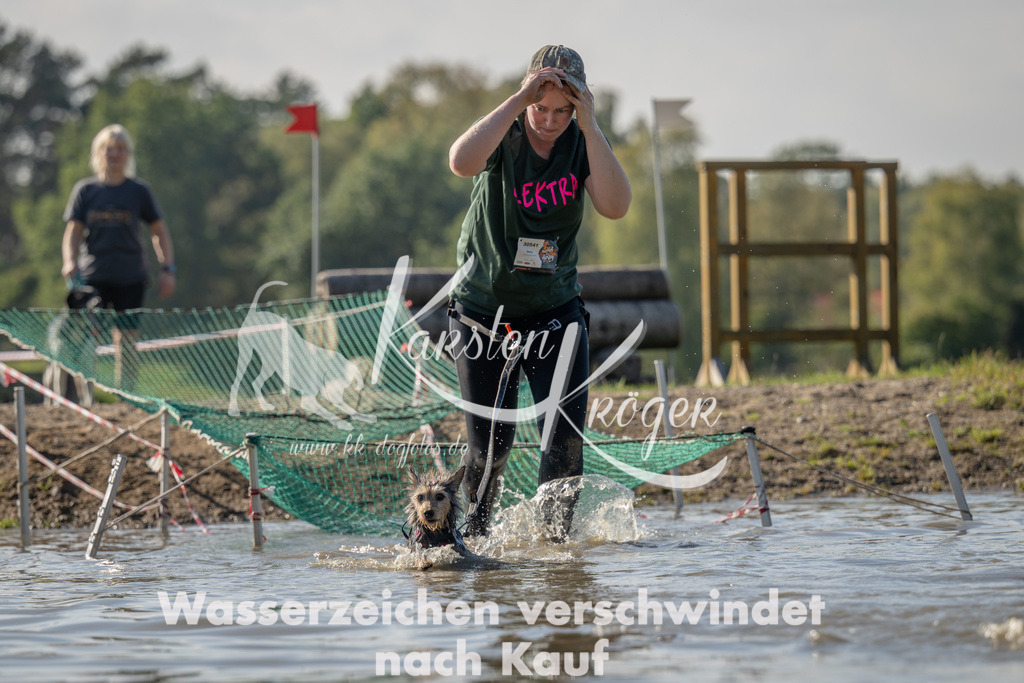 1418_ZZ92199 | kk-dogfotos