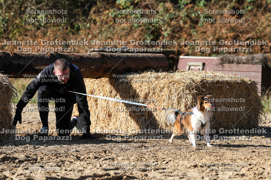 Dog Paparazzi - Strongdog 10-25-2510 | Dog Paparazzi Jeanette Grottendiek Fotografie & Videografie - Realisiert mit Pictrs.com