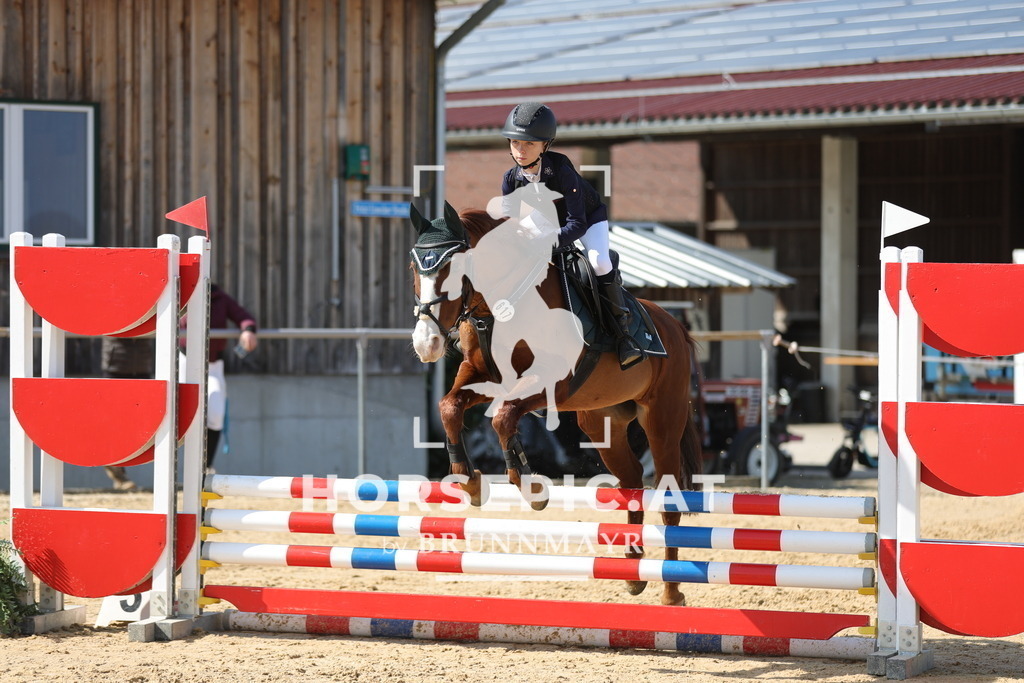 0P6A6966 | Willkommen bei Brunnmayr - Design & Fotografie – Ihrem Spezialisten für Reitturniere und Pferdeveranstaltungen in Oberösterreich, Salzburg und Bayern! Seit über 17 Jahren sind wir leidenschaftlich dabei.