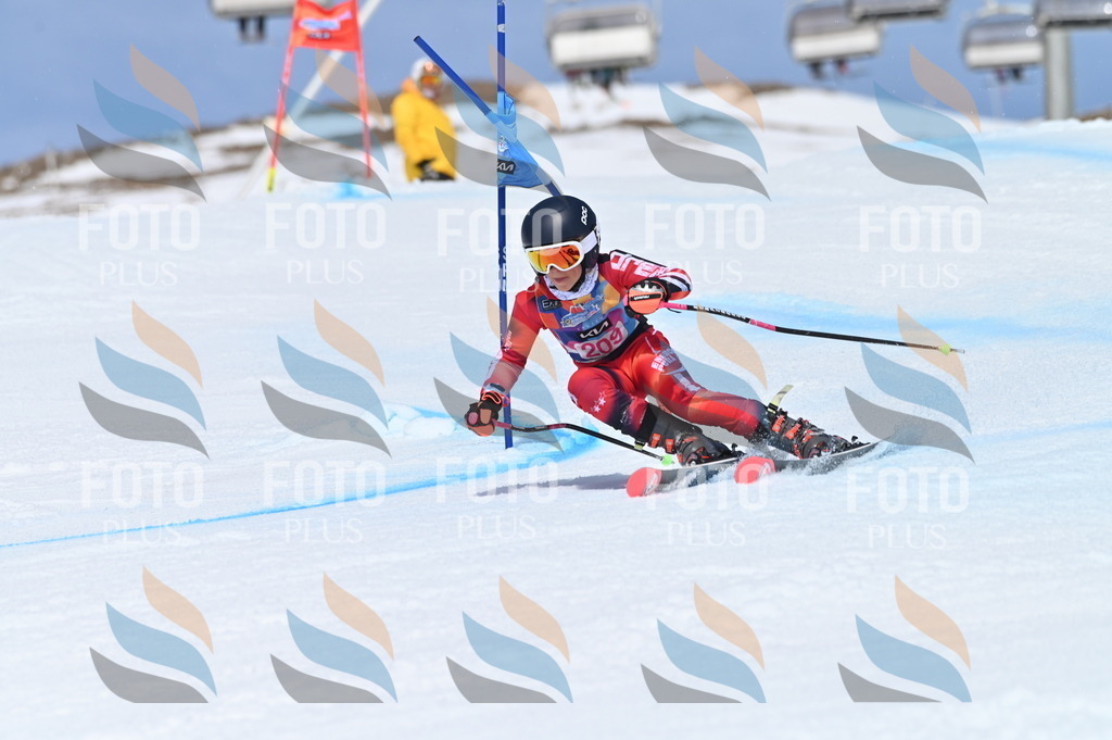 BGV_1123 | holidayphoto