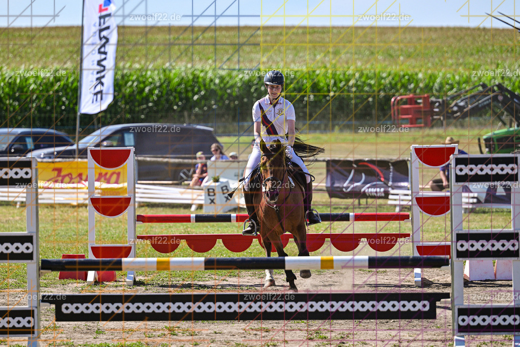 30 Jahre RFV Pulsnitz e.V., Pulsnitz am 09.08.2026 | Zur 28. breitensportlichen Veranstaltung des RFV Pulsnitz e.V. fanden verschiedene Wettbewerbe in nahezu allen Disziplinen des Pferdesport statt. - 06 Standard-Spring-Wettbewerb - Realisiert mit Pictrs.com