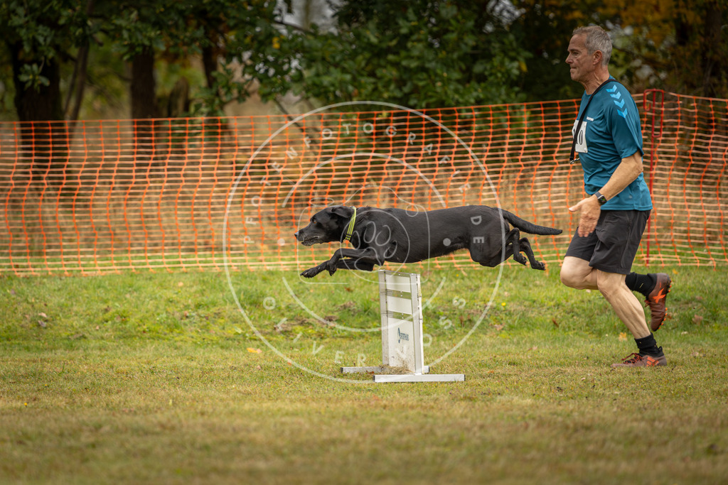 Pfotenfotografie_DV3A2809 | Hundefotografie, Tierfotograf, Pfotenfotografie, Fotoshooting Hund, Hunde Portrait, Hundesport, Hundeportraits, Heideshooting, Hunde, Sportfotograf, Hundefotograf, Turnierhundsport, THS,  - Realisiert mit Pictrs.com