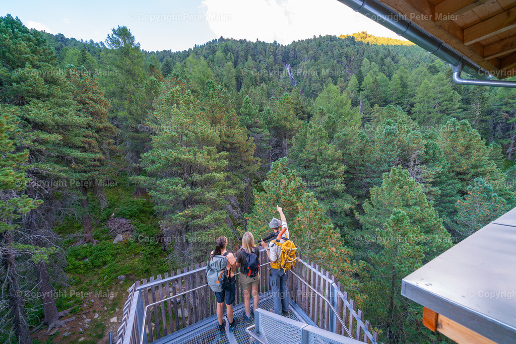 Wildtierbeobachtung_Oberhaus_Erlebnisraum_Wald_23_Peter_Maier-456 | piet_flosse