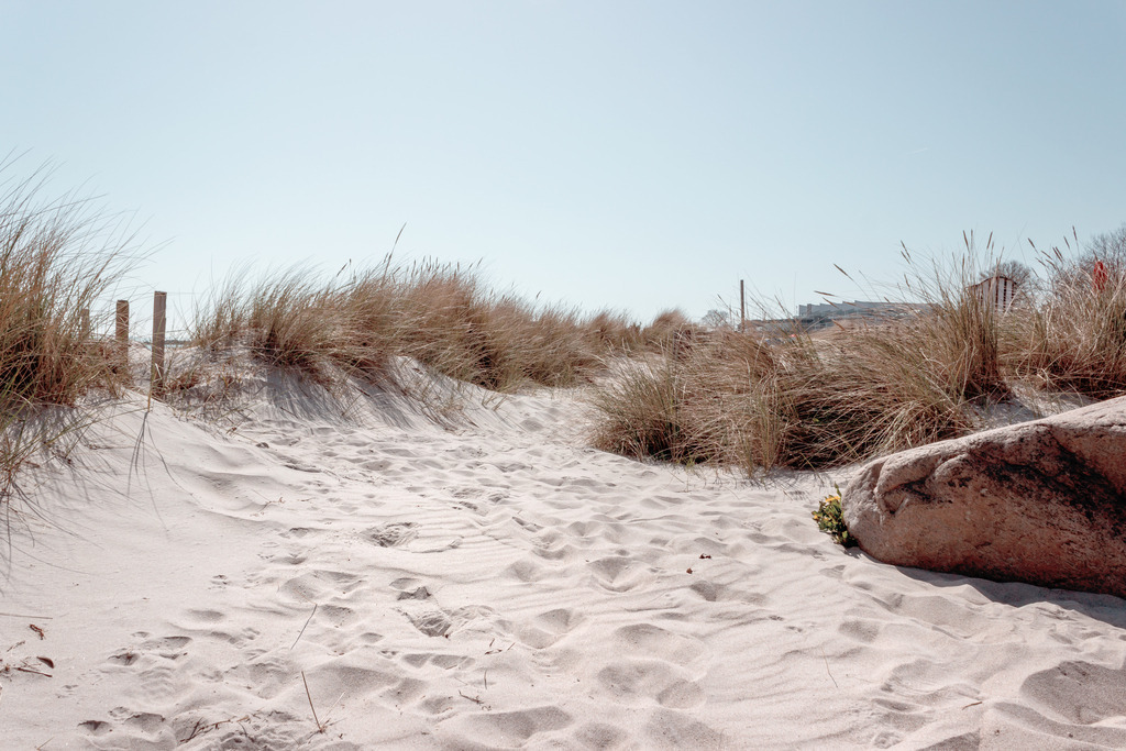 Wandbild: Düne und Strandhafer am Meer | Dieses Wandbild im Querformat zeigt eine kleine Düne bewachsen mit Strandhafer am Meer. Am Strand liegt ein großer Stein. Direkt am Stein blüht der Löwenzahn im Strandsand. Dieses Wandbild ist in einem stilvollen hellen Farbton gehalten und ist damit passend zu fast jedem Einrichtungsstil. Zudem ist der Farbumfang in diesem Wandbild reduziert. Der Strandsand bringt einen natürlichen Sandton ins Bild und das pastellartige blau wirkt beruhigend und gleichzeitig elegant. Holen Sie sich dieses traumhafte Strandmotiv auf Leinwand, Aluminium-Platte oder Acrylglas. Ideal fürs Wohnzimmer, Schlafzimmer, Küche, den Arbeitsplatz oder die Ferienwohnung.   - Realisiert mit Pictrs.com