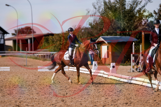 2026_10_03_Siefer-Hof_133157_Z81_87700911 | Professionelle Reitsport-, Turnier- und Eventfotografie von Robert Broda. Galerien mit ausgewählten und bearbeiteten Bildern direkt online ansehen und bestellen.