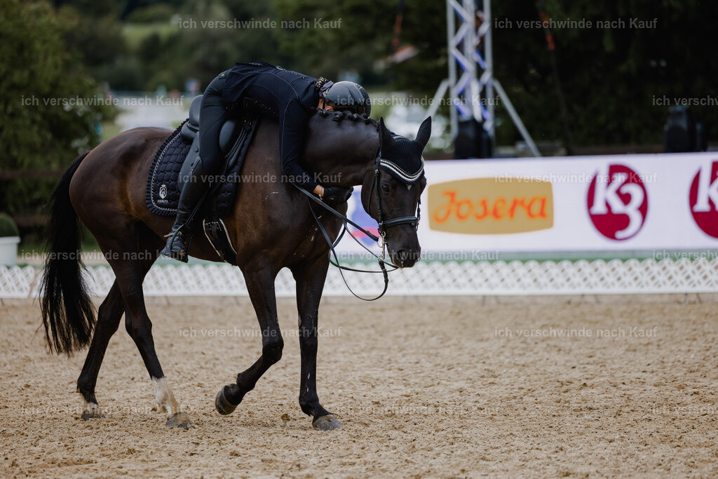 Leonie24_FHC2025-14 | working equitationturnier fotograf videograf stoibphotography marixx film working equitation deutschland reitsport turnierfotografie eventfotografie equestrian events