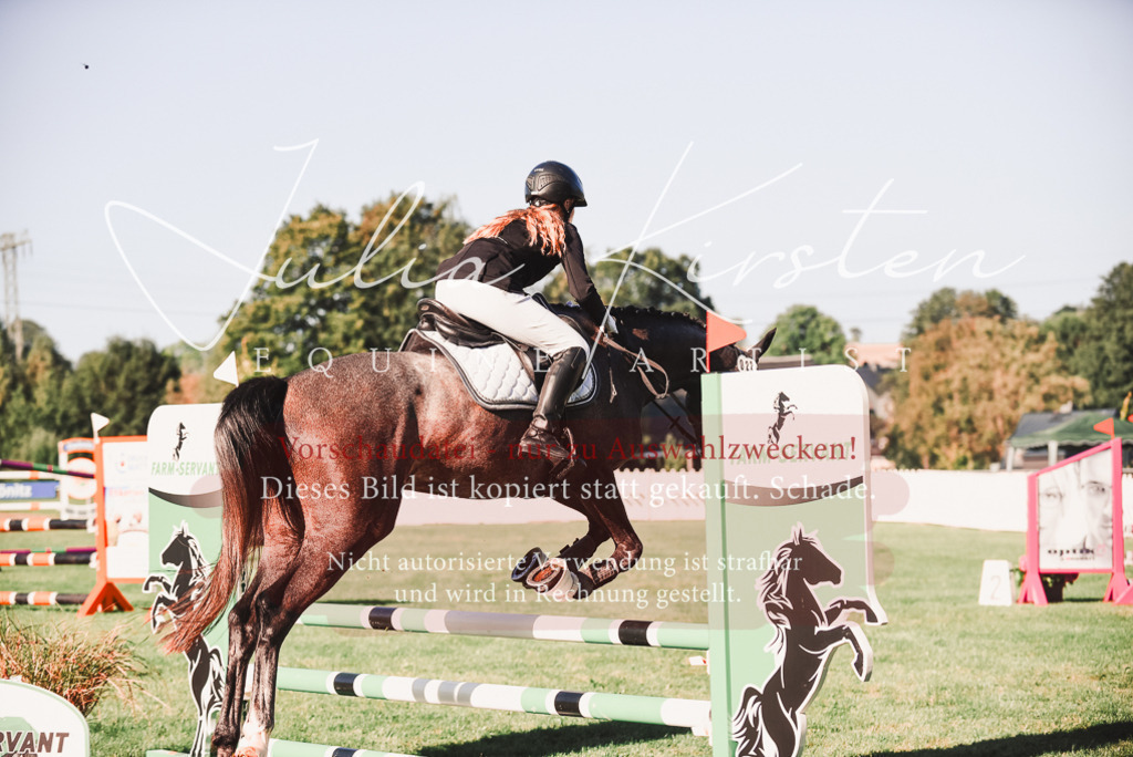 DSC_2187 | Pferde- und Turnierfotografie in Westsachsen. Pferdeportraits, Auftragszeichnungen und intuitive Kunst.