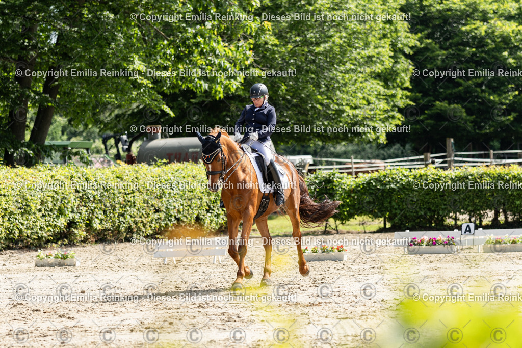 CL5A7571 | Emilia Reinking Fotografie - Realisiert mit Pictrs.com