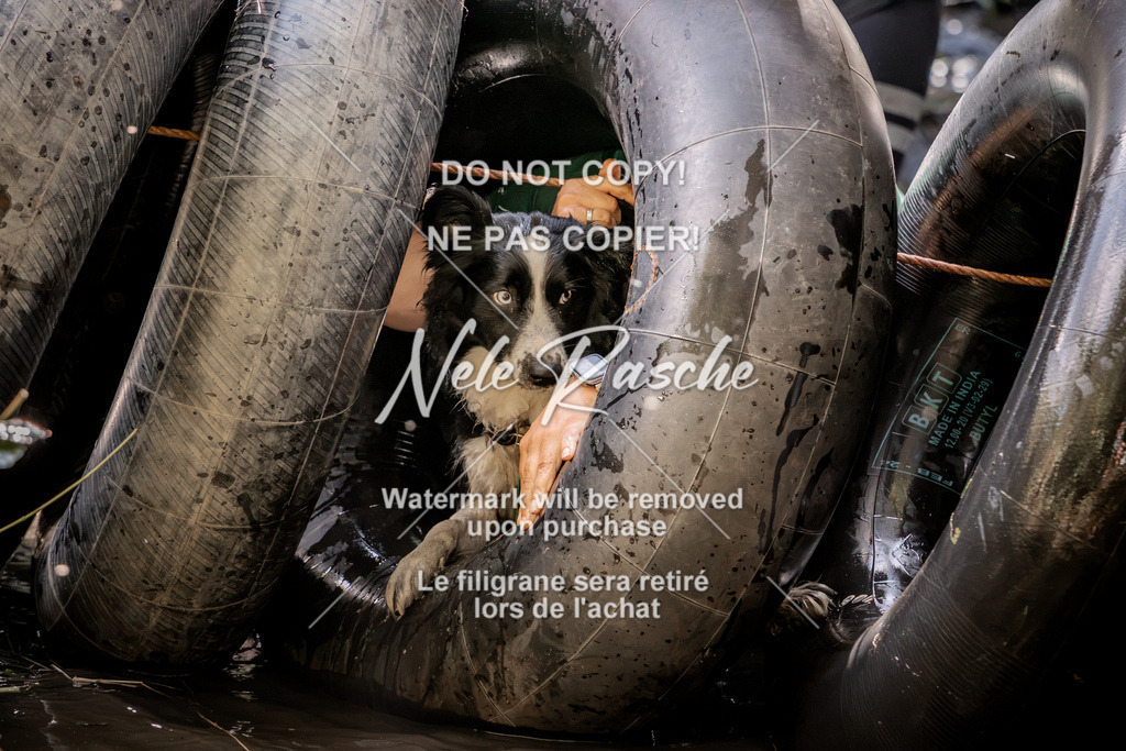 nelerasche_Hunsrück2026_Sa1400-1500_429 | nelerasche