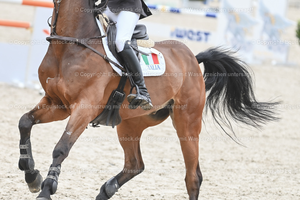 20230514_CCI4_Springen_0081 | equistock
