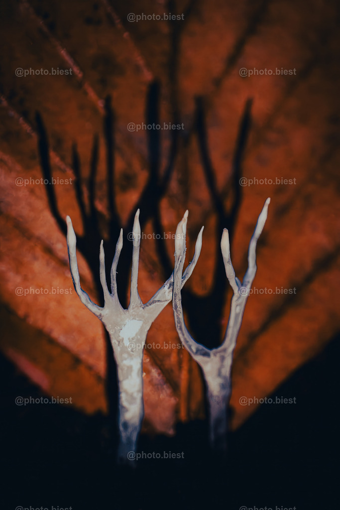 Shadow on the Wall | "Holzkeulen" vor einem herbstlichen Blatt. - Realisiert mit Pictrs.com