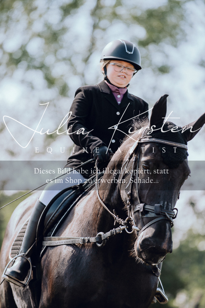 DSC_6937 | Pferde- und Turnierfotografie in Westsachsen. Pferdeportraits, Auftragszeichnungen und intuitive Kunst.