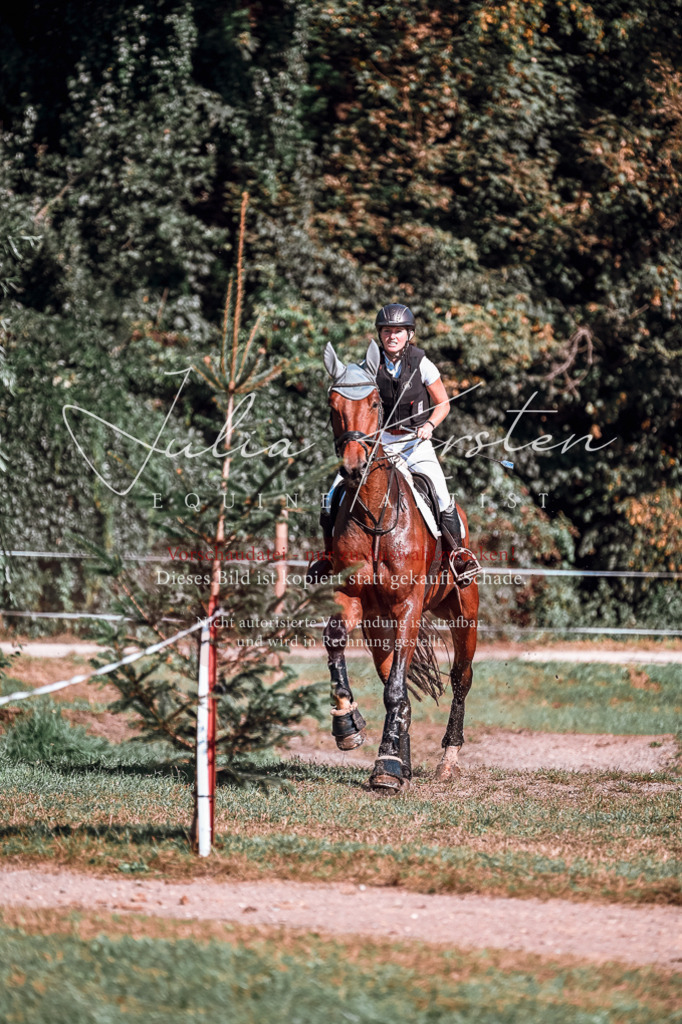 DSC_1007 | Pferde- und Turnierfotografie in Westsachsen. Pferdeportraits, Auftragszeichnungen und intuitive Kunst.
