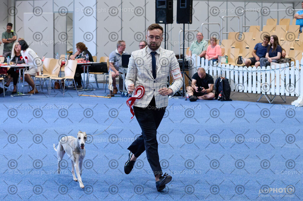 202406_ÖKV-IHA-Tulln24_DSC_5248 | proPHOTO - Realisiert mit Pictrs.com