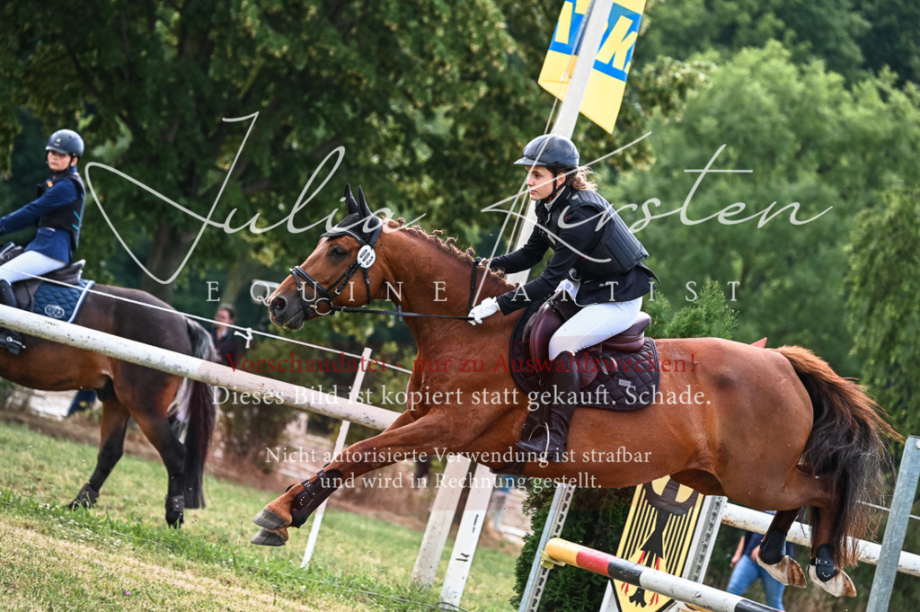 DSC_8200 | Pferde- und Turnierfotografie in Westsachsen. Pferdeportraits, Auftragszeichnungen und intuitive Kunst.