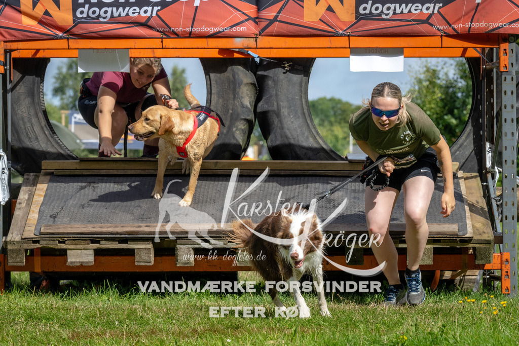 1131_ZZ92356 | kk-dogfotos