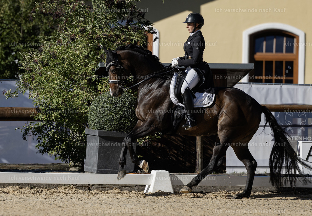 FHC2026_P09_180_18658 | Fichtenhof Classics 2026 – Grand Prix de Dressage - VOLTAIRE Design Preis, Reitanlage Fichtenhof, Sch ftlarn