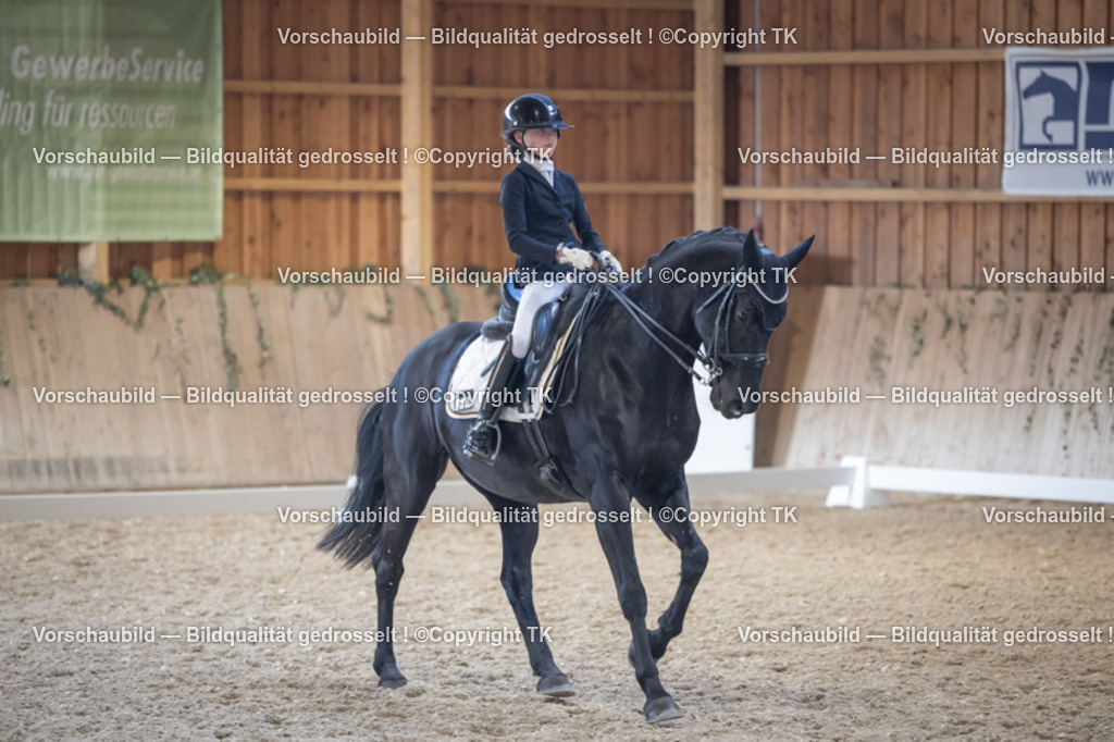 _D5A5091 | Emotionale Pferde- & People-Fotografie rund um Heidelberg, Leimen & Umgebung. Natürliche Fotos von Pferd, Mensch & Familie. Jetzt Termin sichern!