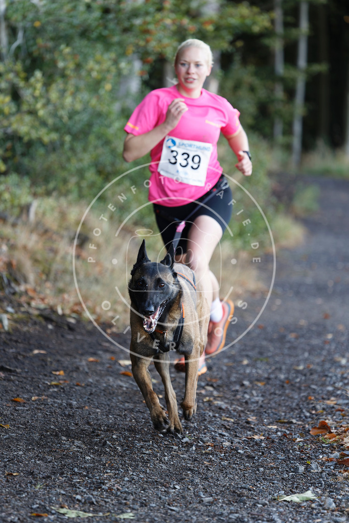 0L8A1998 | Hundefotografie, Tierfotograf, Pfotenfotografie, Fotoshooting Hund, Hunde Portrait, Hundesport, Hundeportraits, Heideshooting, Hunde, Sportfotograf, Hundefotograf, Turnierhundsport, THS,  - Realisiert mit Pictrs.com
