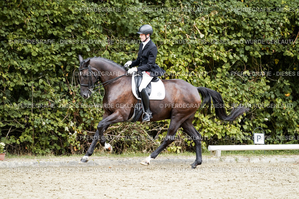 DSC05891 | Pferdegrafie