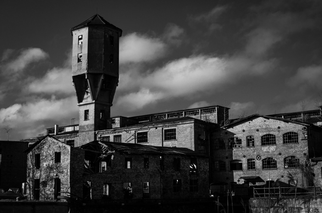 DSC_6091 | kaefersammler_roy - Realisiert mit Pictrs.com