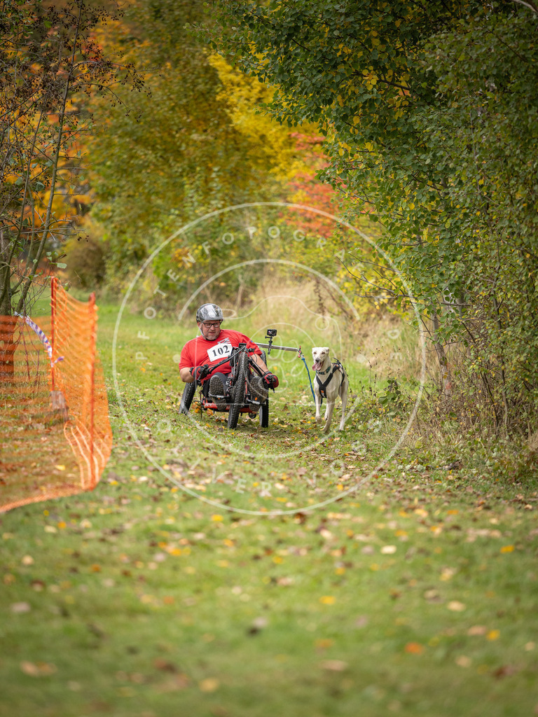 Pfotenfotografie_DV3A3490 | Hundefotografie, Tierfotograf, Pfotenfotografie, Fotoshooting Hund, Hunde Portrait, Hundesport, Hundeportraits, Heideshooting, Hunde, Sportfotograf, Hundefotograf, Turnierhundsport, THS,  - Realisiert mit Pictrs.com