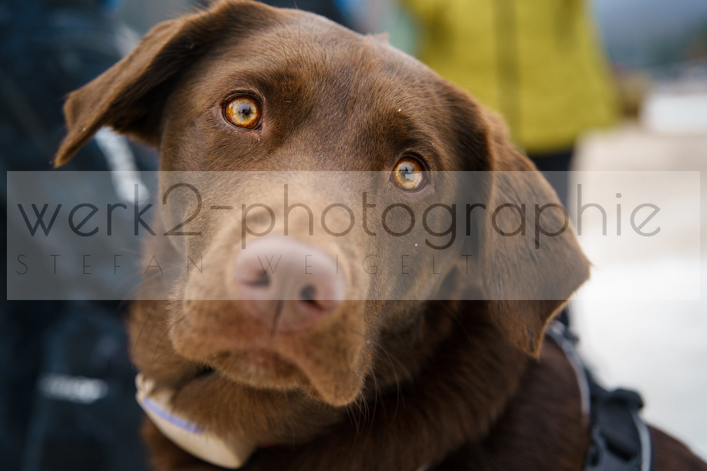 DSC Ruhpolding | 3. DSV E.INFRA Schülercup Biathlon in der Chiemgau Arena Ruhpolding