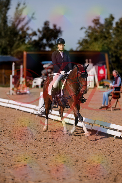 2026_10_03_Siefer-Hof_115806_Z81_00102151 | Professionelle Reitsport-, Turnier- und Eventfotografie von Robert Broda. Galerien mit ausgewählten und bearbeiteten Bildern direkt online ansehen und bestellen.
